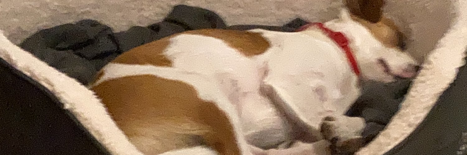 Ronald0's profile banner image