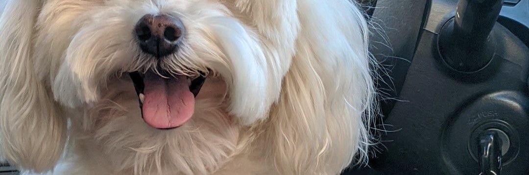 MARYJACOBxc's profile banner image