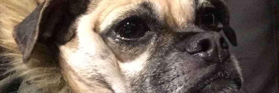 beernard7's profile banner image