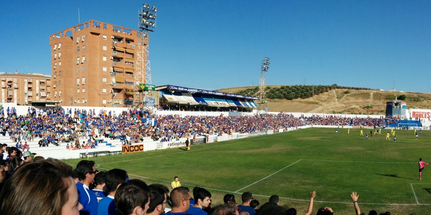 Vicent banner