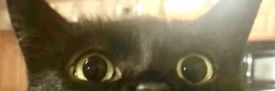 Dorisxx2a's profile banner image