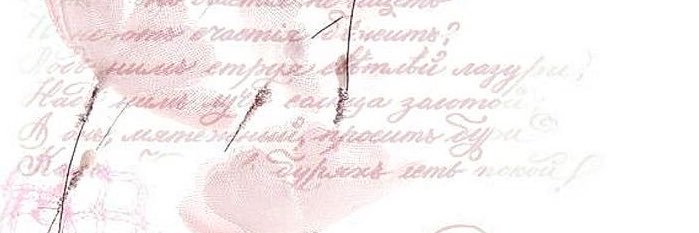 YoruOfEdtwt's profile banner image