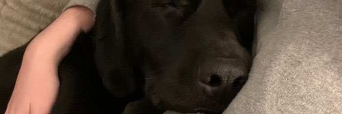 CCupcake29's profile banner image