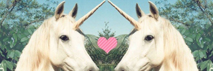 lissynvm1's profile banner image