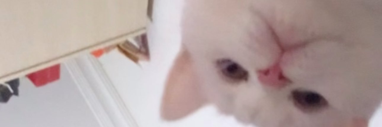 garfiyild's profile banner image