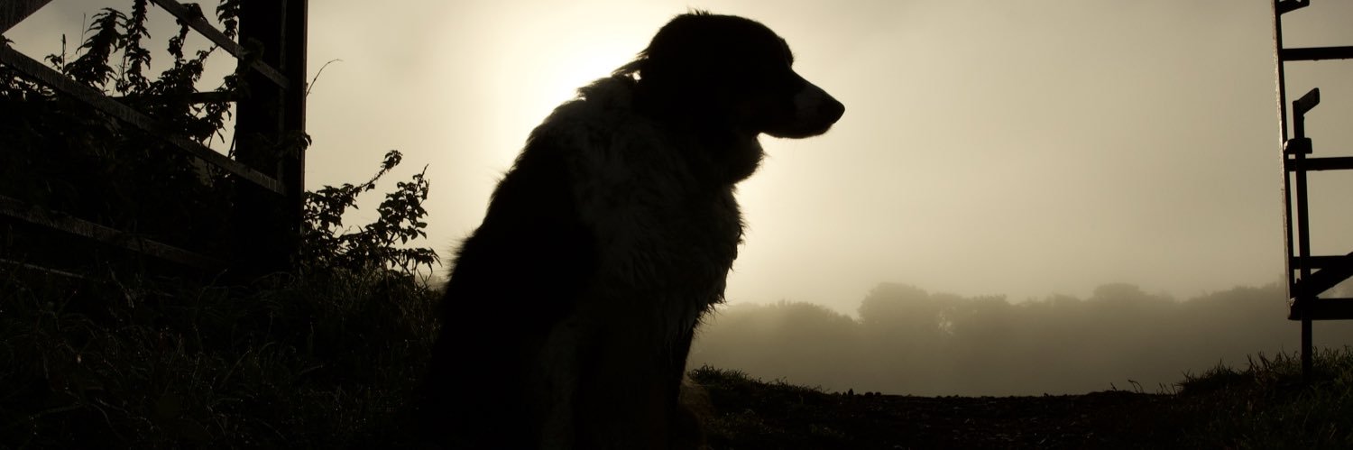 pj1987uk's profile banner image