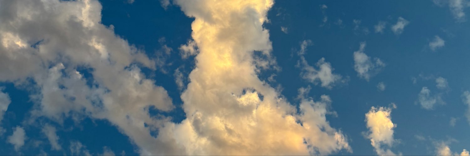Primarchofstink's profile banner image