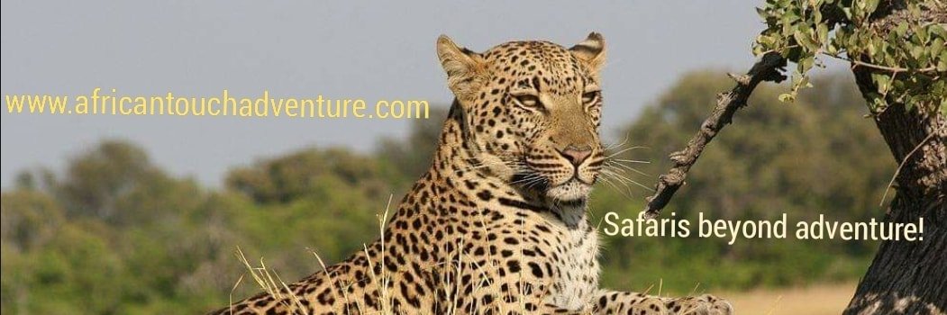 Africantouch's profile banner image