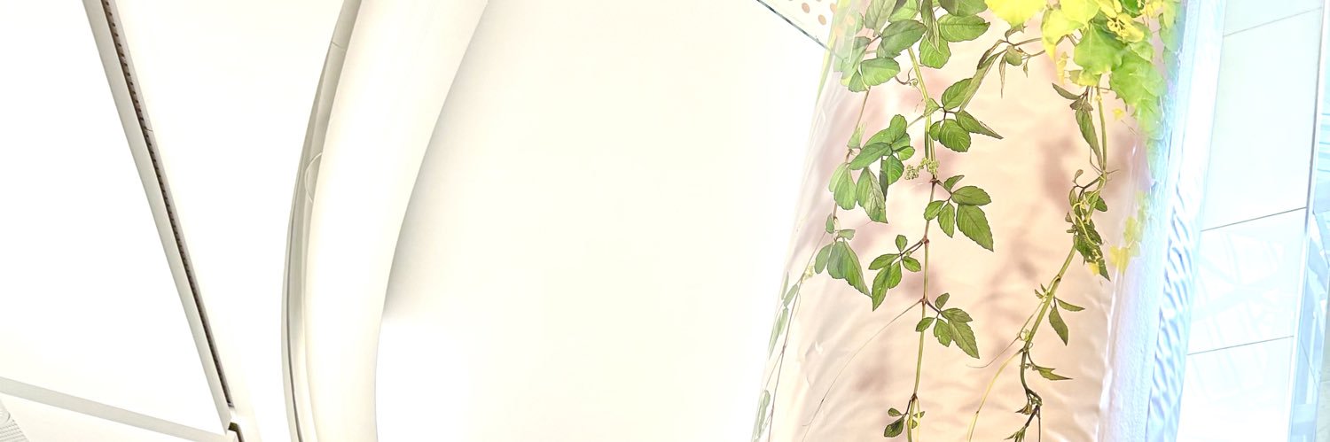 queenoksy's profile banner image