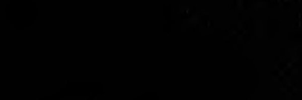 carzeboss Profile Banner