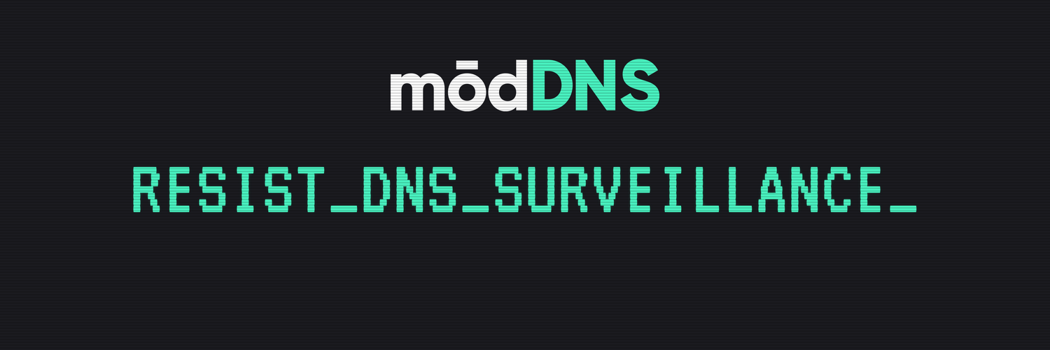 modDNS's profile banner image