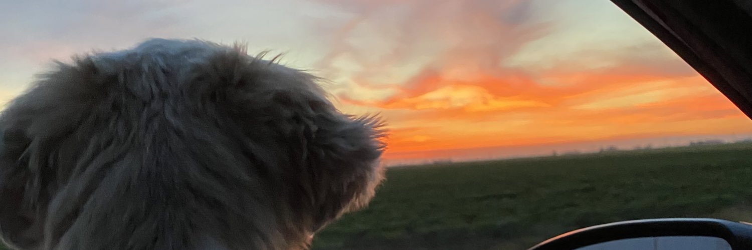 Chan_W1's profile banner image