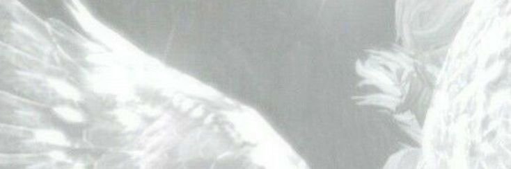 isbdl6e's profile banner image