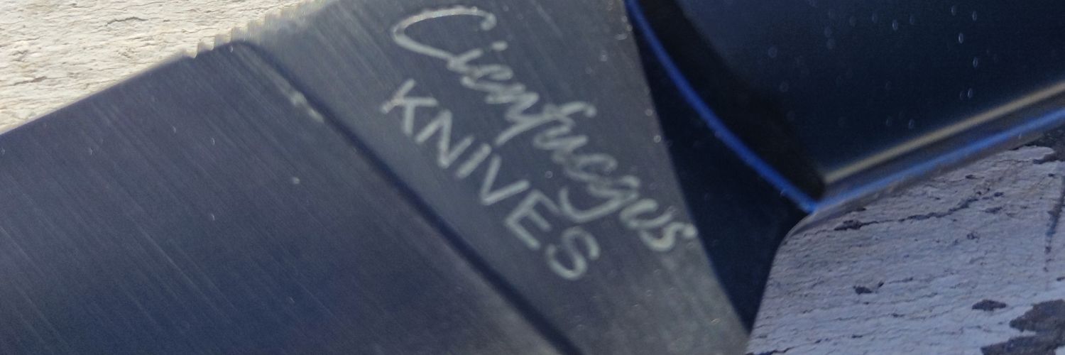 cienfuria's profile banner image
