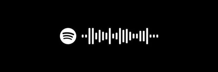 _nailliw's profile banner image