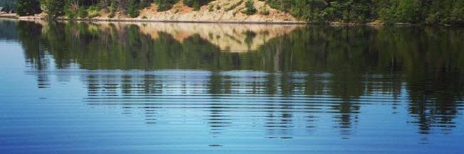 Martha McLean banner