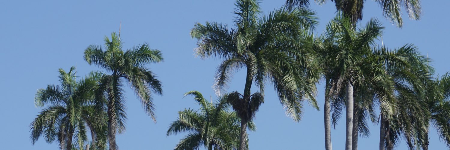marcelamasso's profile banner image