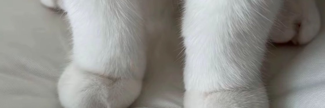 xiaoyinggixk's profile banner image