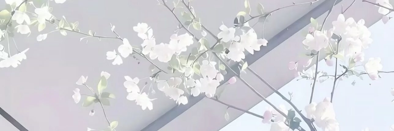 li1yK_1102's profile banner image