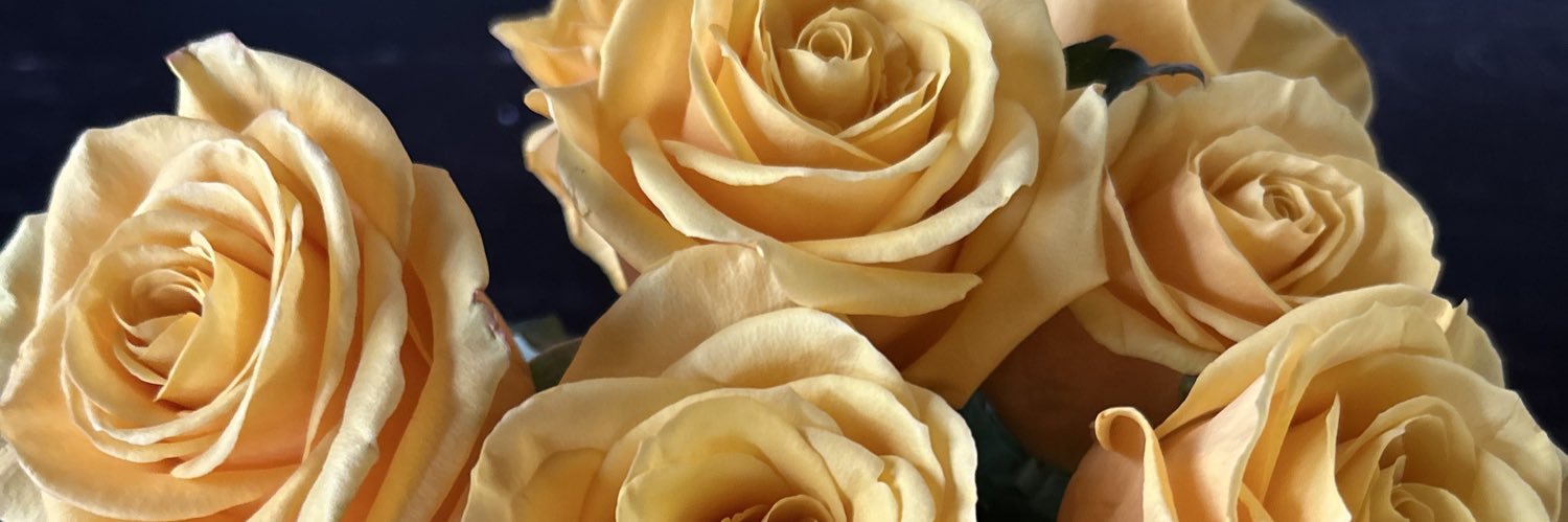 kckc422's profile banner image