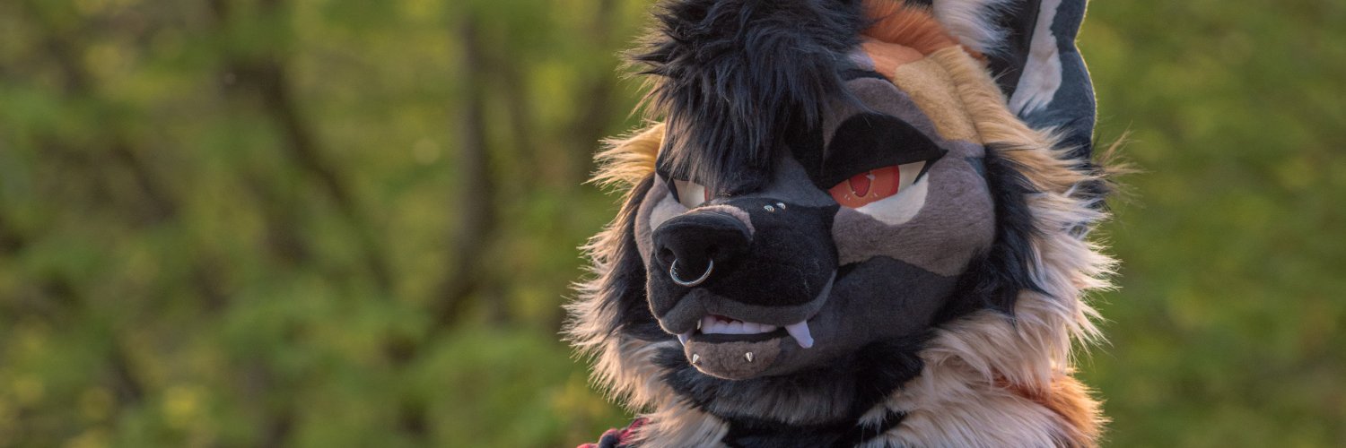 duskofthestars's profile banner image