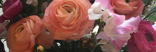 AlexandraLynne2 Profile Banner