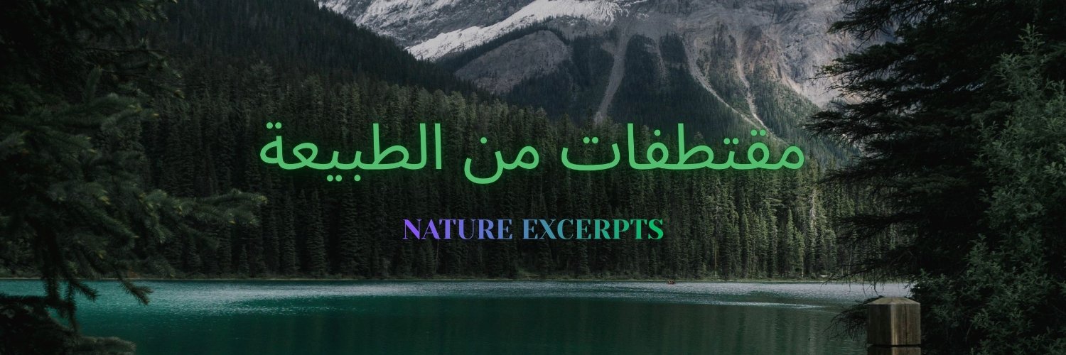 moqhtafaty's profile banner image