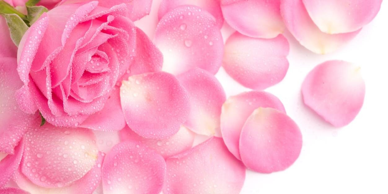 roscco_'s profile banner image