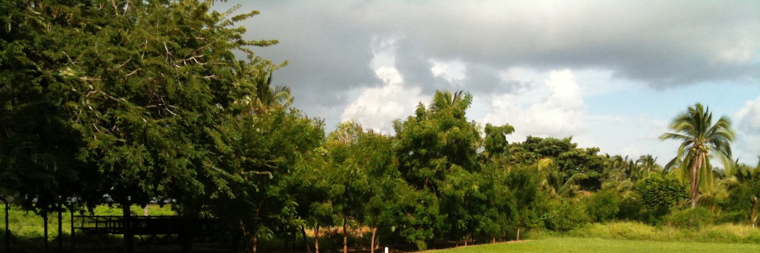 manuelmonroy's profile banner image