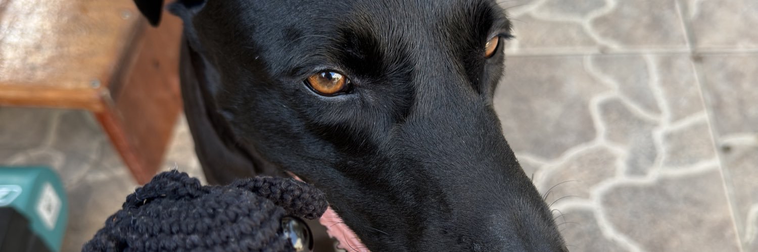 Amandinhamix's profile banner image