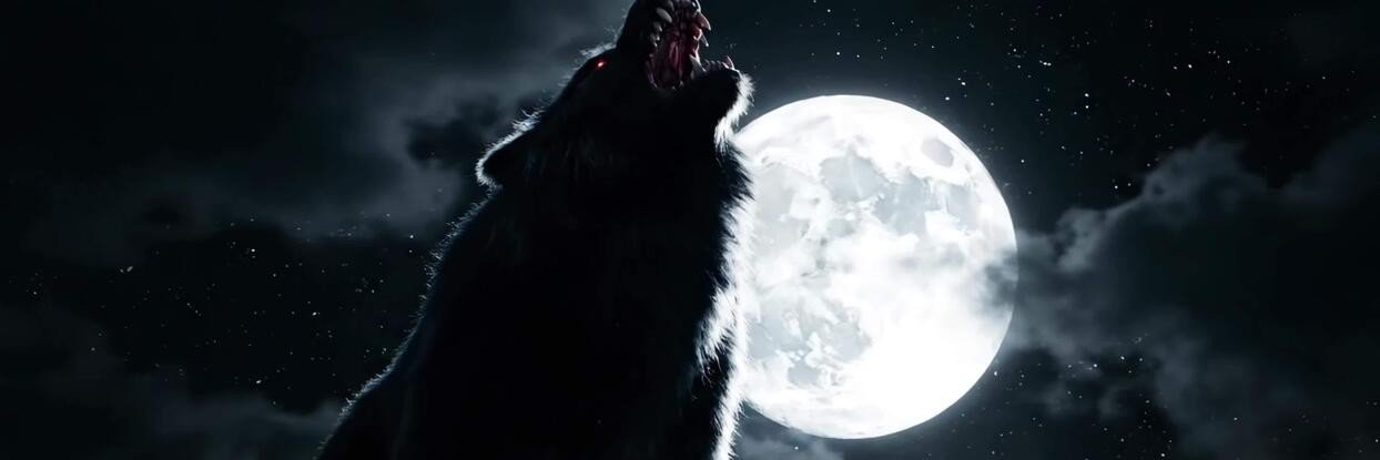 TheStoicSamar's profile banner image