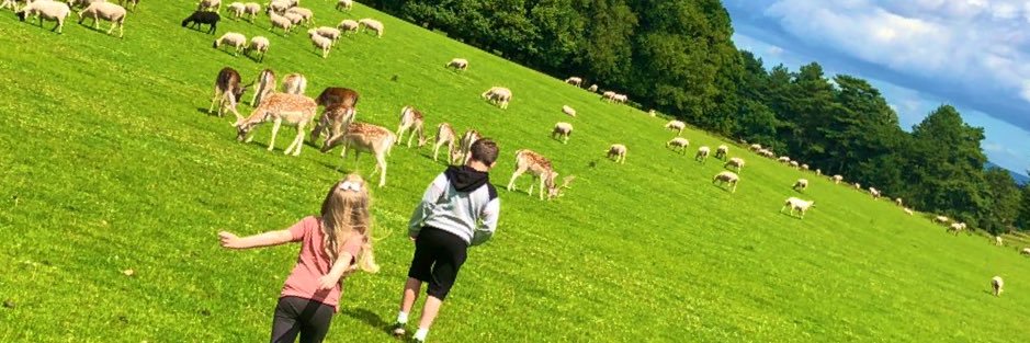 Stu@Londonstone banner