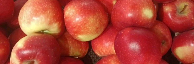 ApplePiePieced's profile banner image