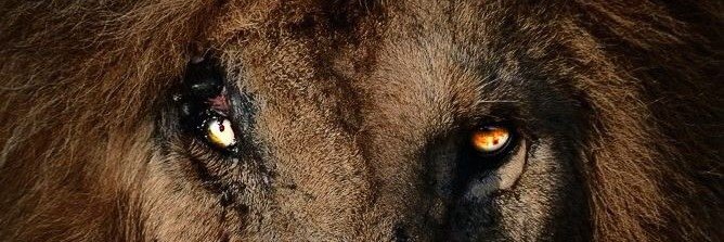unknowman35's profile banner image