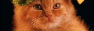 emmabelle12's profile banner image