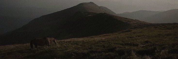 pjvgmd's profile banner image