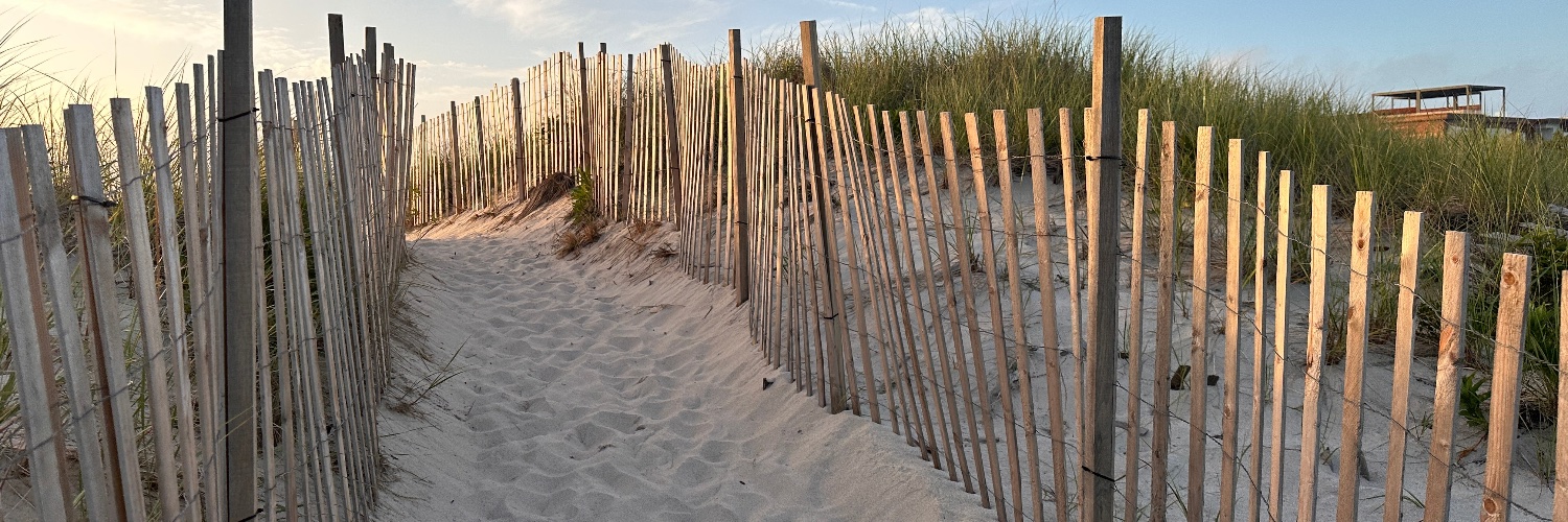 brandwern's profile banner image