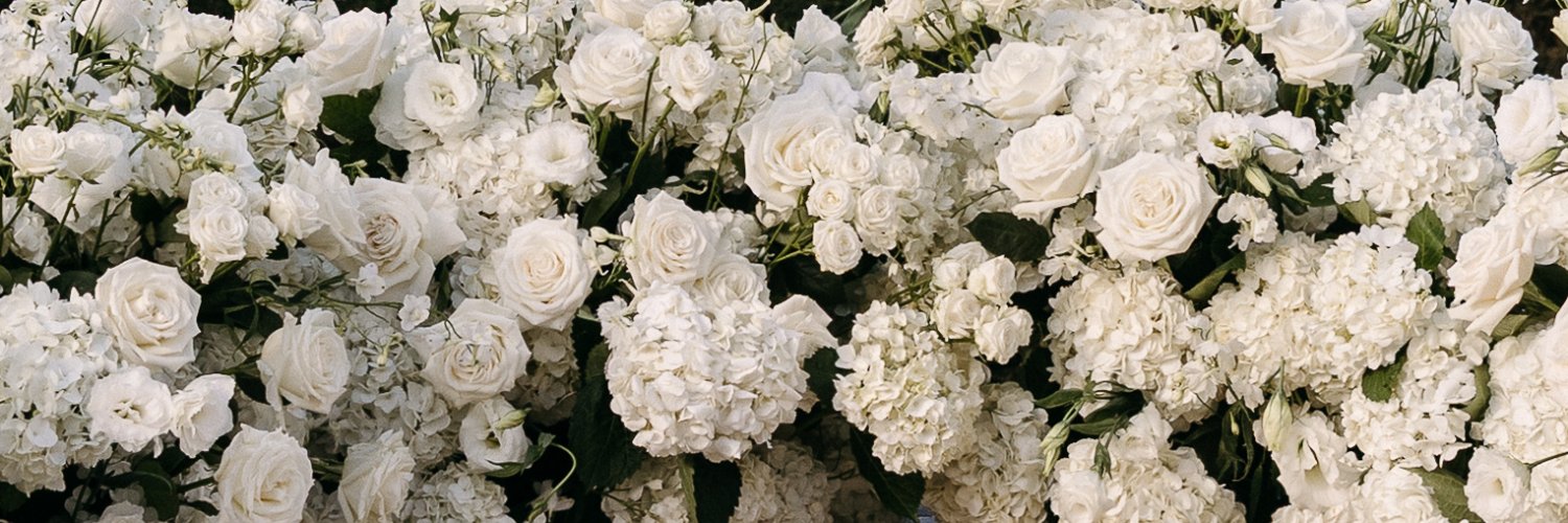 ambersumpter's profile banner image