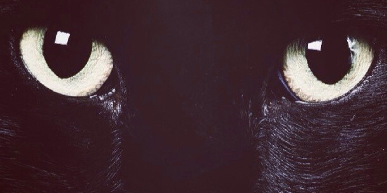 Anj_Ang's profile banner image