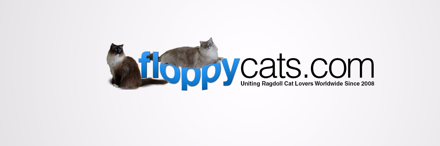 Floppycats.com banner