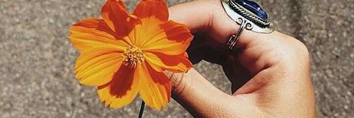 CostaEstela's profile banner image