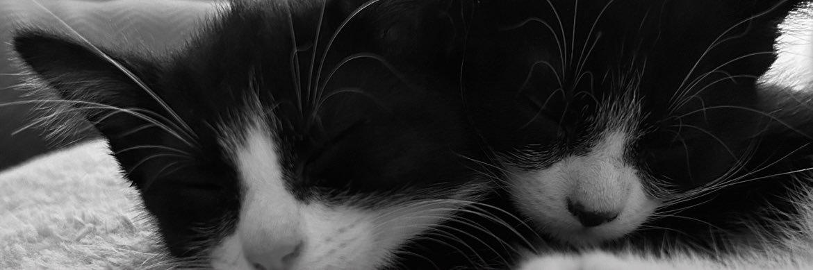 _JEMCx's profile banner image