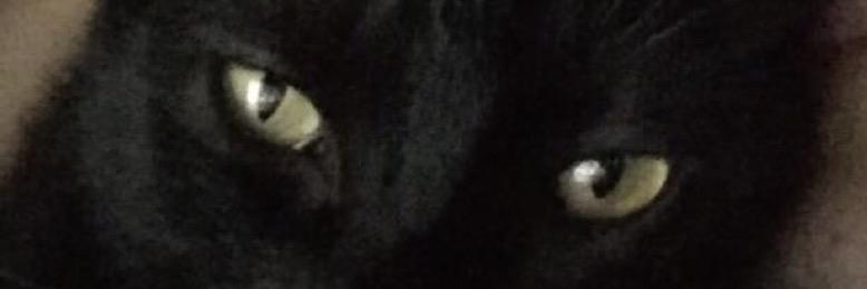 LittleMayritaa's profile banner image