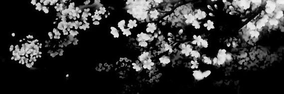 Smokeyzfn's profile banner image