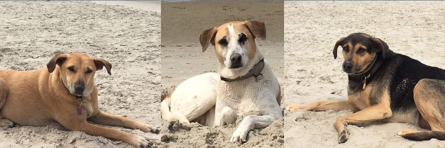 Jim  Lesperance banner