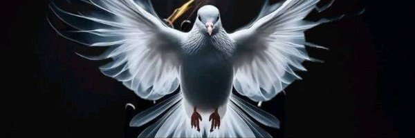 BeautyMiQue's profile banner image