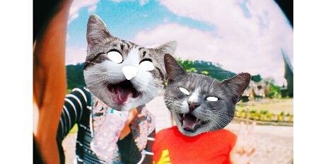 billanabilaa's profile banner image