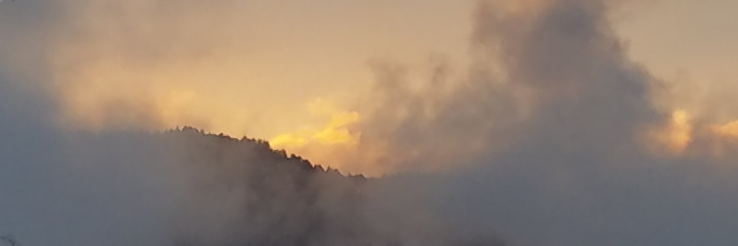 dveditz's profile banner image