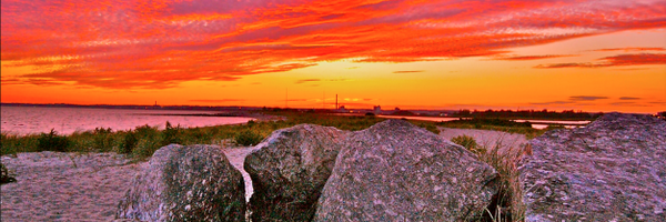 karinatrandom Profile Banner