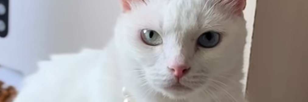 owieminul's profile banner image
